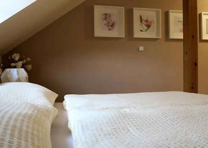 Sv. Petr Apartmán Plzeň